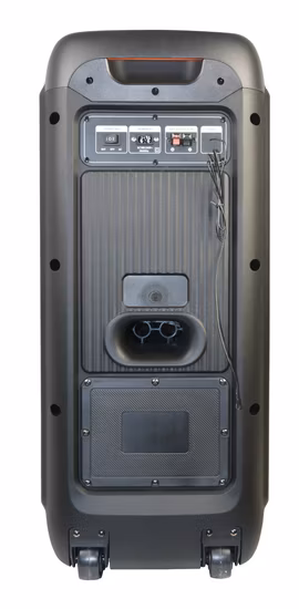 Temeisheng 8 pollici Party Box 100 Watt altoparlante audio wireless portatile professionale Blueotth con microfono