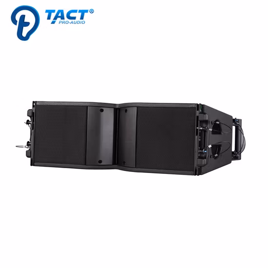 La210 Doppio altoparlante da 10 pollici Line Array Sound System passivo